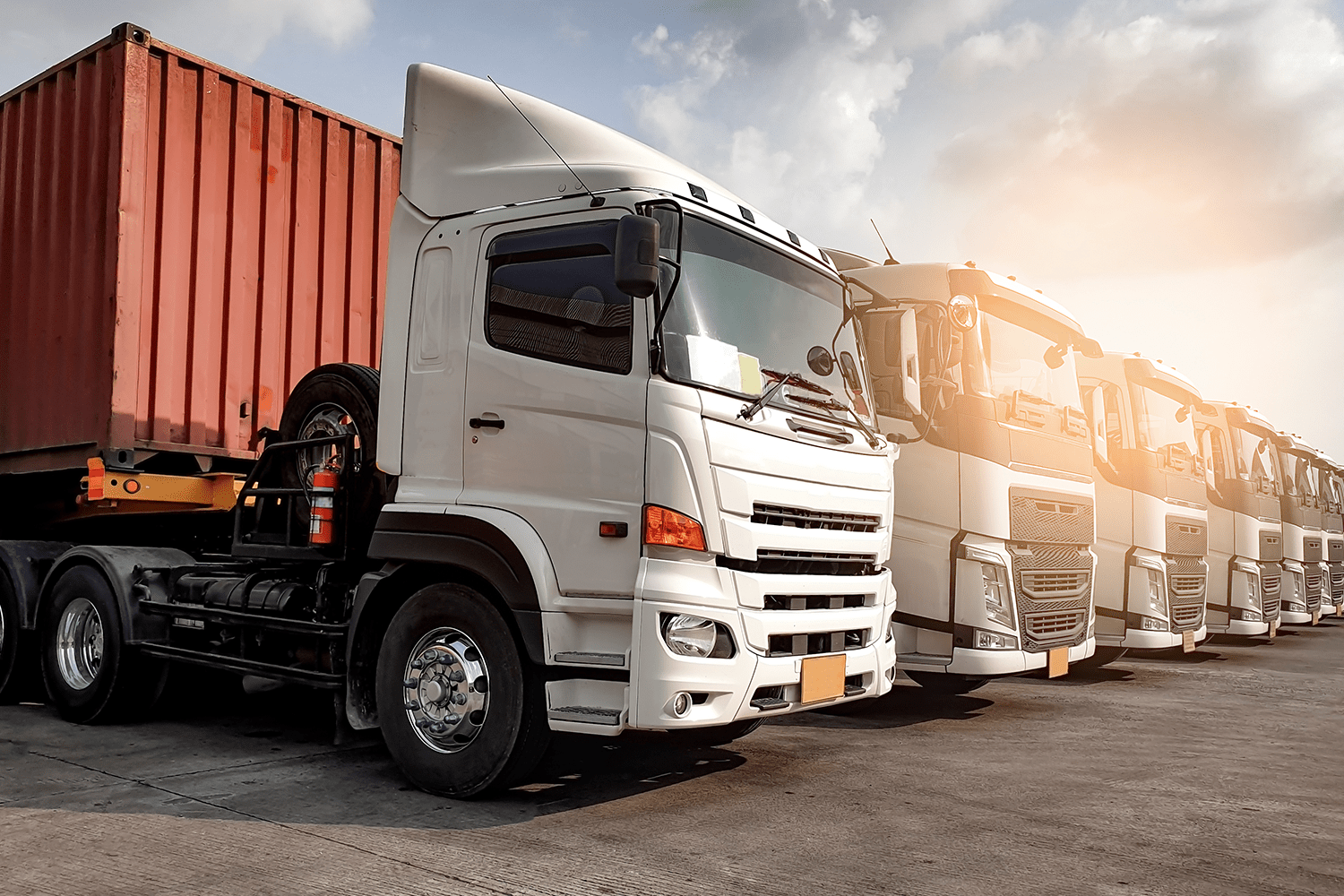 คาร์โก้ขนส่ง