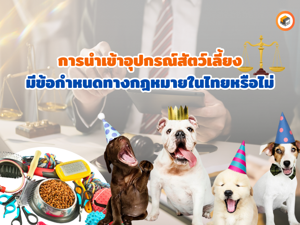 อุปกรณ์สัตว์เลี้ยงหน้าปก